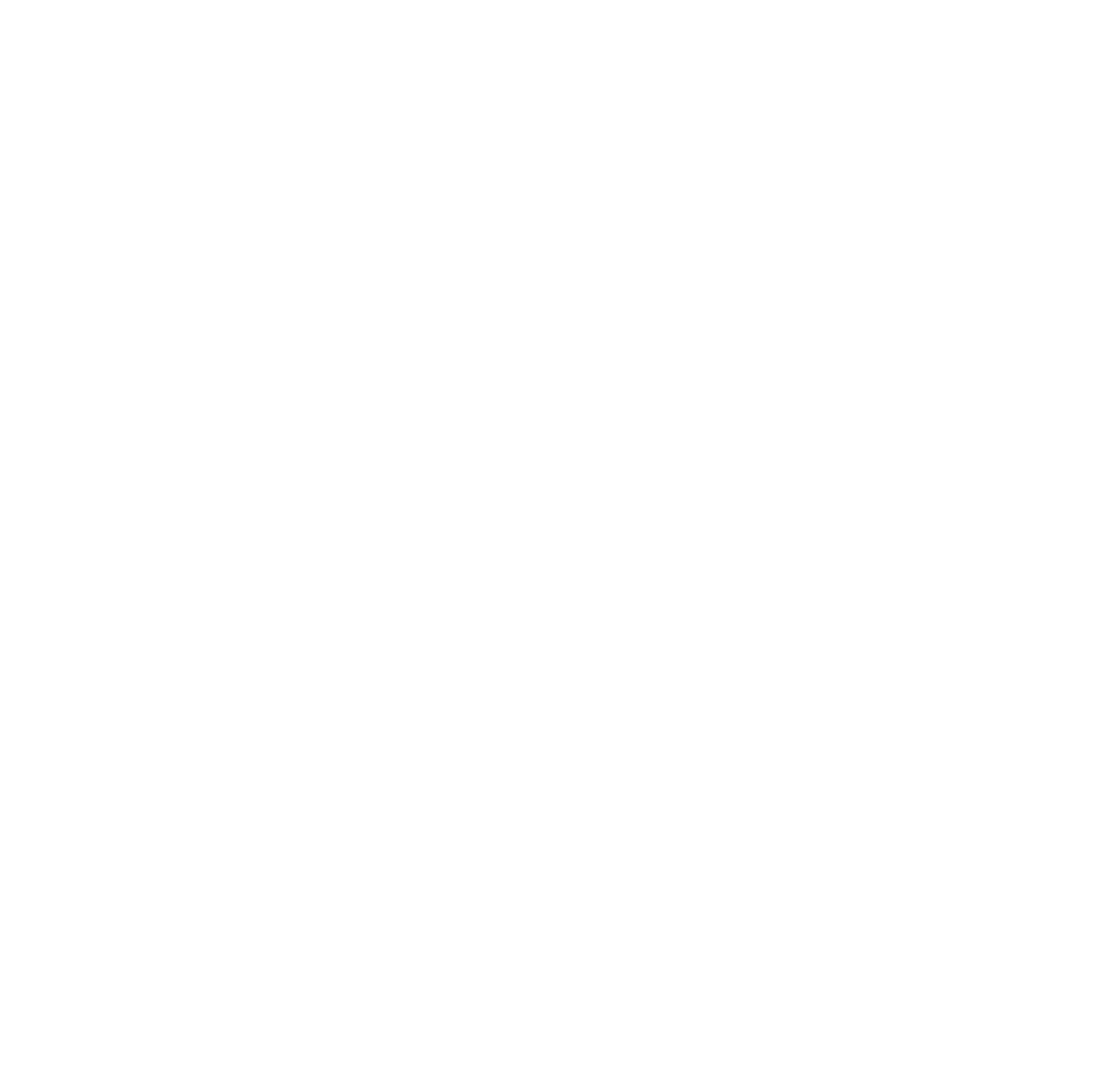 Apartment 301 Floorplan