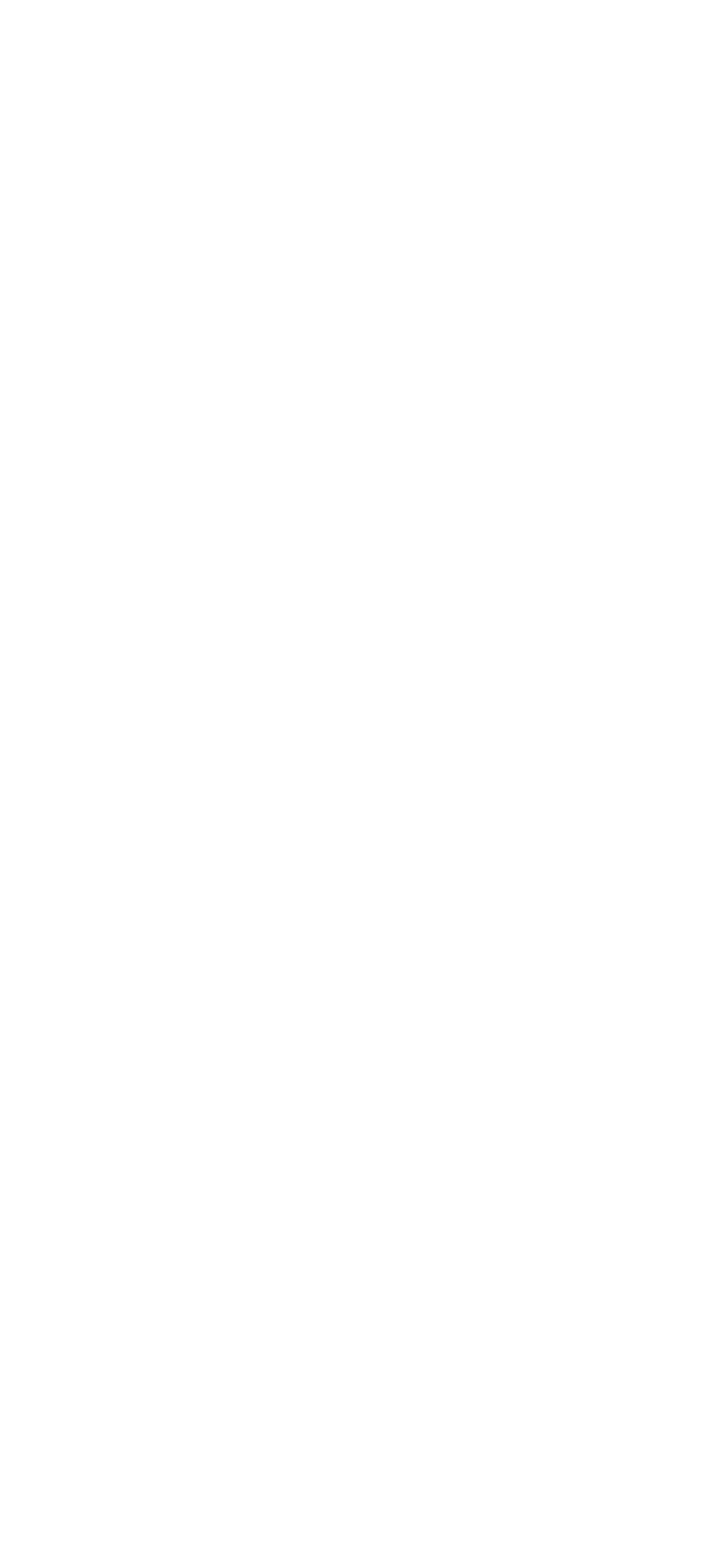 Apartment 302 Floorplan