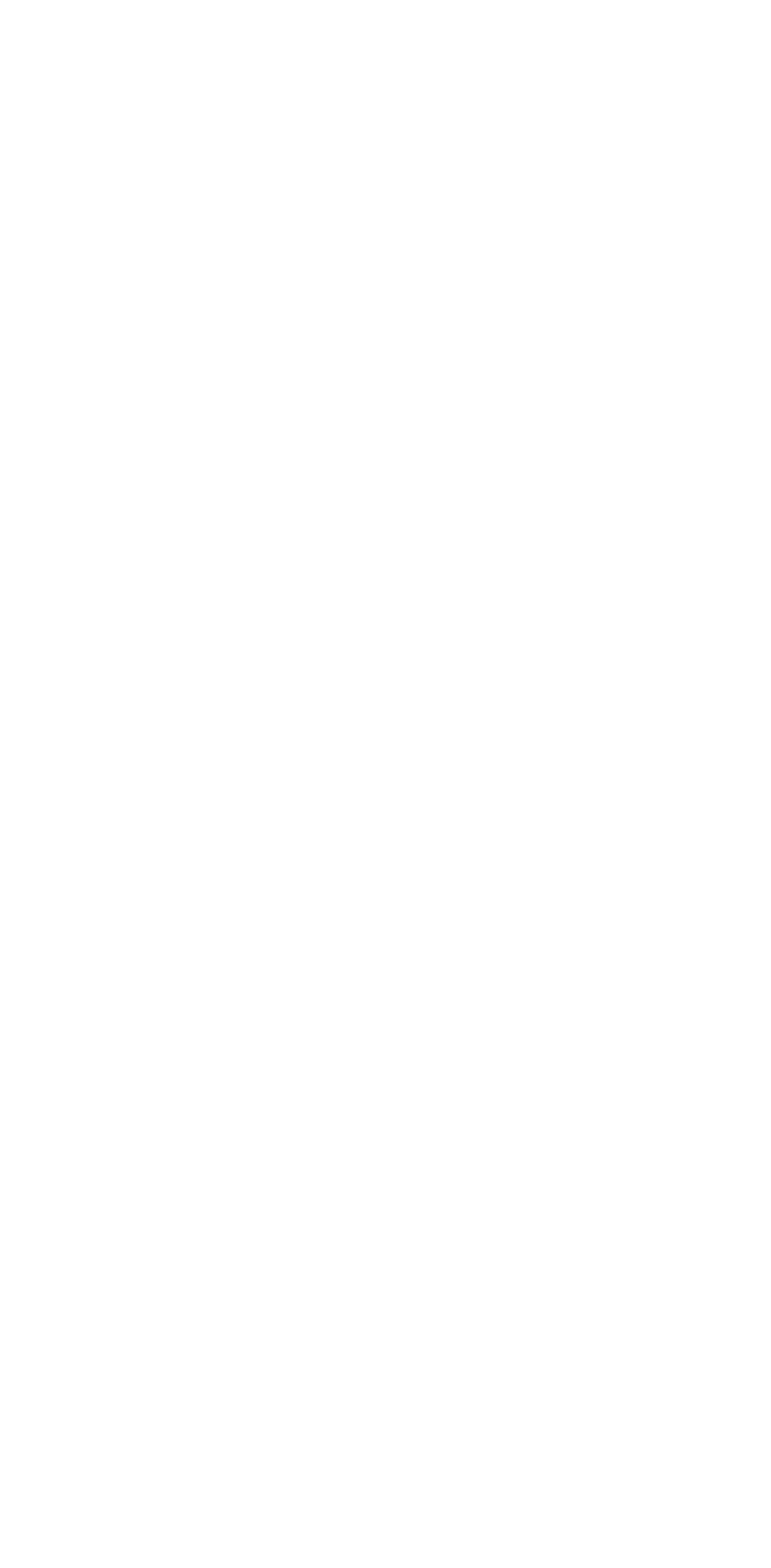 Apartment 303 Floorplan