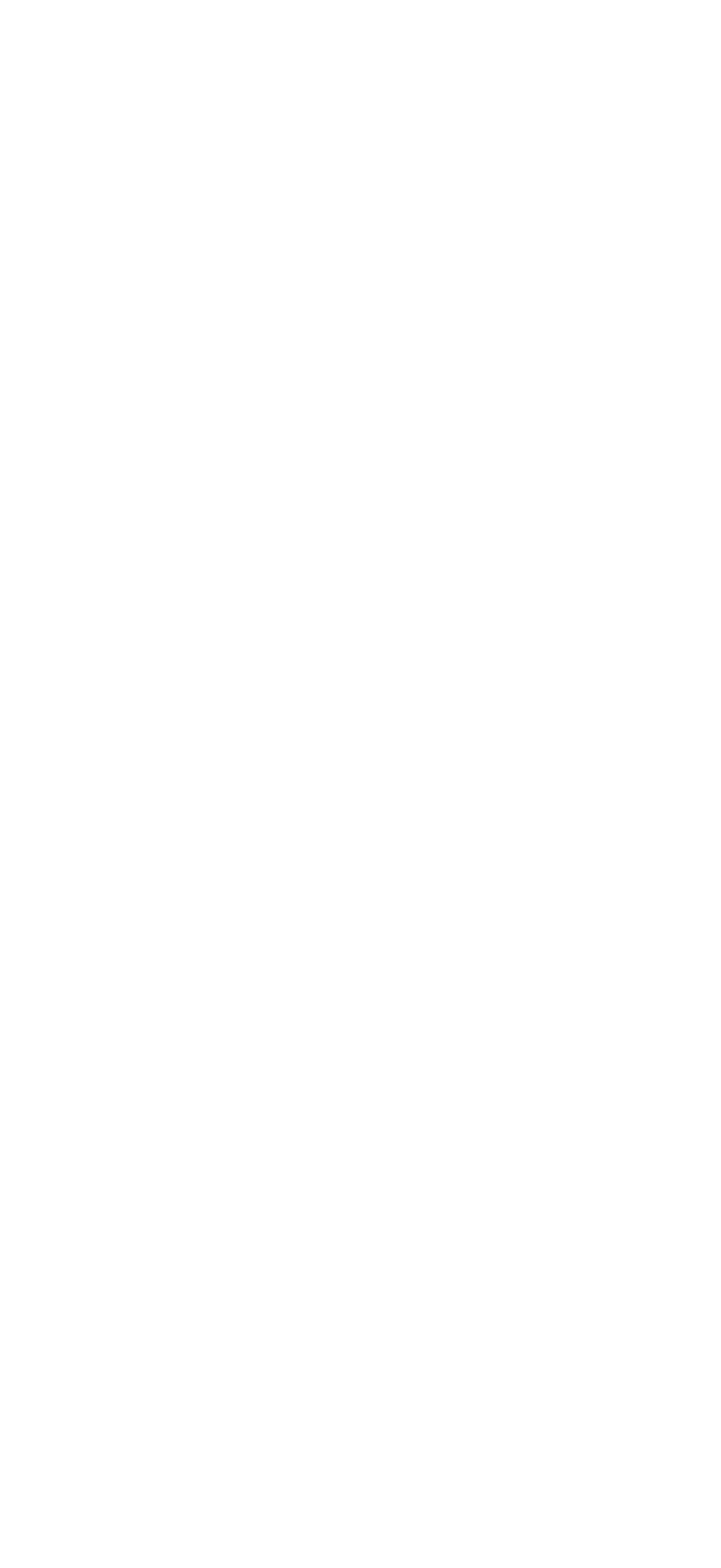 Apartment 304 Floorplan