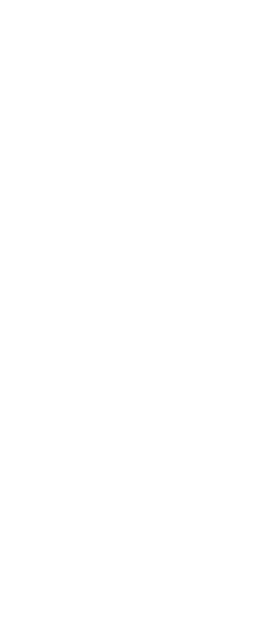 Apartment 305 Floorplan