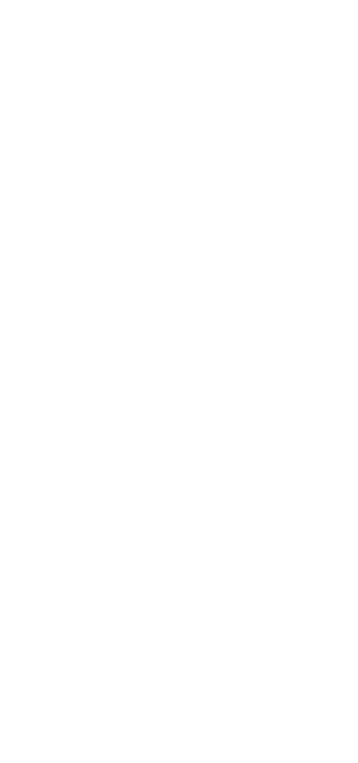 Apartment 306 Floorplan