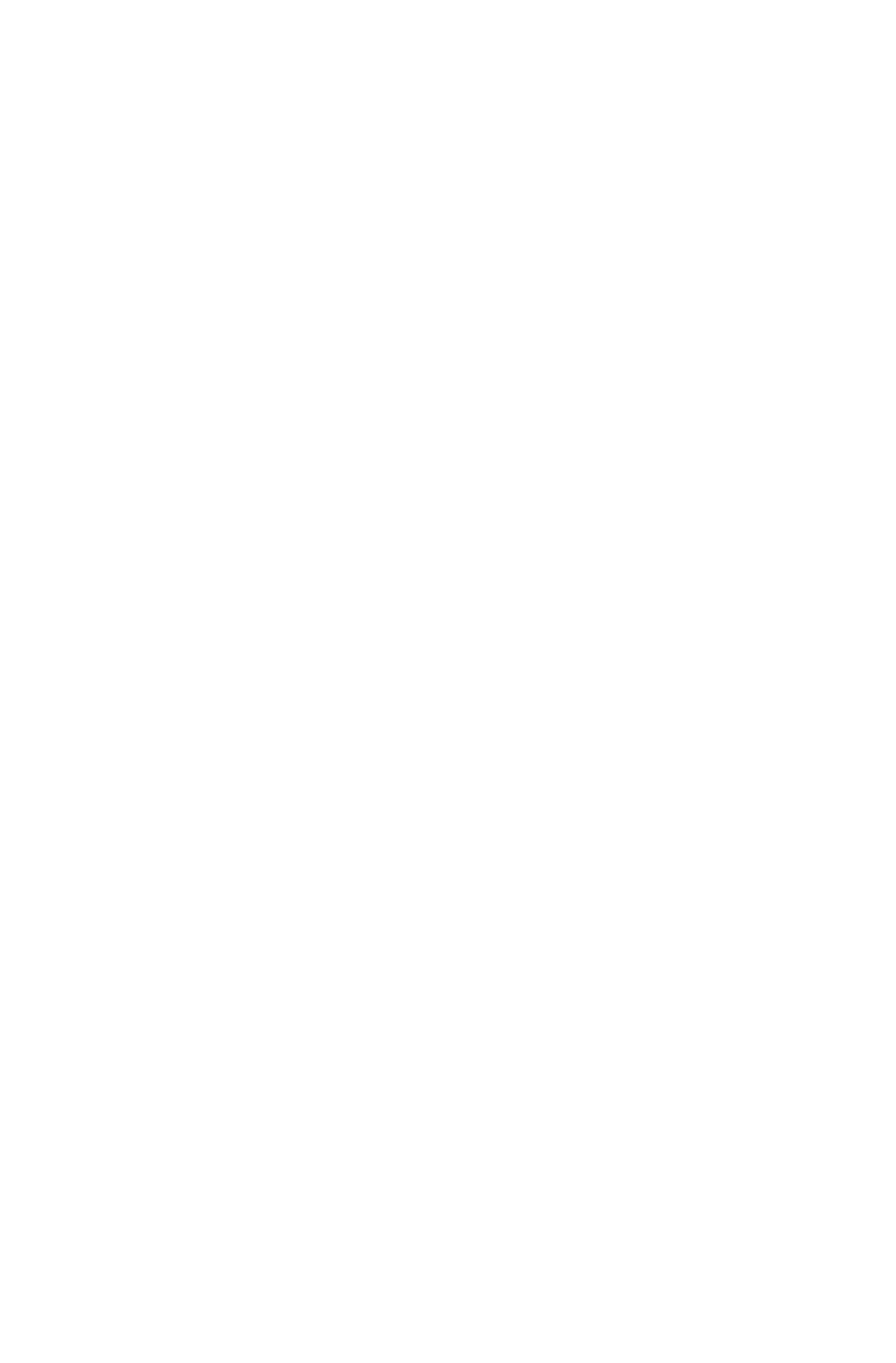 Apartment 312 Floorplan